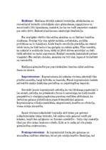 Konspekts 'Māksla 19.gadsimtā', 3.