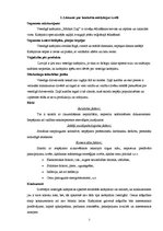 Biznesa plāns 'Mārketinga plāns', 2.