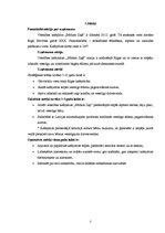 Biznesa plāns 'Mārketinga plāns', 3.