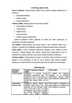 Biznesa plāns 'Mārketinga plāns', 4.