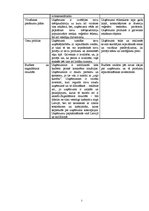 Biznesa plāns 'Mārketinga plāns', 5.