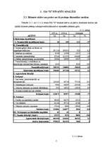 Prakses atskaite 'SIA "X" finanšu analīze', 2.