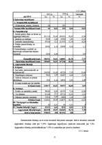 Prakses atskaite 'SIA "X" finanšu analīze', 6.