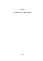 Referāts 'SIA "Berling" finanšu analīze', 1.