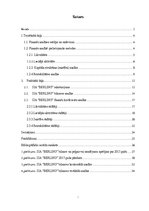 Referāts 'SIA "Berling" finanšu analīze', 2.