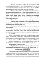 Referāts 'SIA "Berling" finanšu analīze', 5.