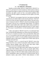 Referāts 'SIA "Berling" finanšu analīze', 12.