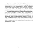 Referāts 'SIA "Berling" finanšu analīze', 16.