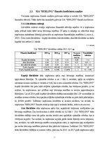 Referāts 'SIA "Berling" finanšu analīze', 17.