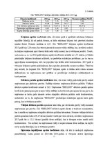 Referāts 'SIA "Berling" finanšu analīze', 19.