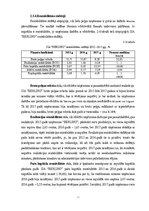 Referāts 'SIA "Berling" finanšu analīze', 22.