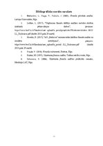 Referāts 'SIA "Berling" finanšu analīze', 26.