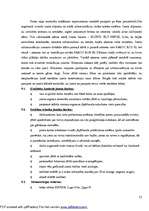 Referāts 'Būvdarbu tehnoloģija - biroju ēka', 21.