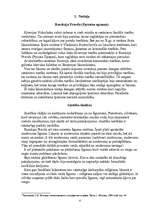 Referāts 'Viduslaiku Krievijas tiesības', 4.