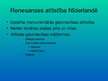 Prezentācija 'Ziemeļu renesanse', 5.