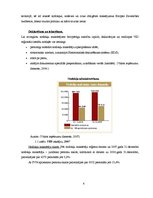 Referāts 'Valsts ieņēmumu dienesta darbība Latvijā', 6.