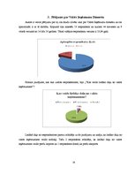 Referāts 'Valsts ieņēmumu dienesta darbība Latvijā', 19.