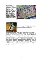 Konspekts 'Galvenais par datoru', 4.