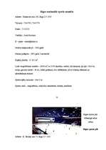 Referāts 'Rīgas pilsētas sporta skolas, sporta klubi, stadioni, manēžas, baseini', 10.