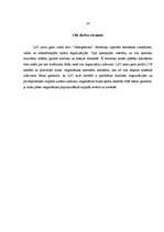 Referāts 'Rīgas pilsētas sporta skolas, sporta klubi, stadioni, manēžas, baseini', 24.