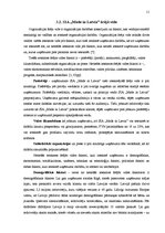 Prakses atskaite 'Prakses atskaite', 11.