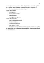 Prakses atskaite 'Prakses atskaite', 20.