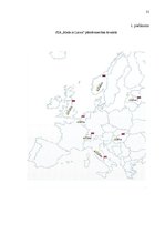 Prakses atskaite 'Prakses atskaite', 31.