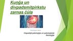 Prezentācija 'Kuņģa un divpadsmitpirkstu zarnas čūla', 1.
