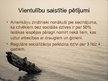 Prezentācija 'Vientulība', 21.