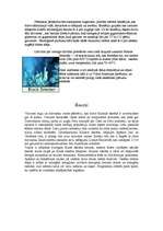 Referāts 'Klusais okeāns', 8.