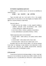 Referāts 'SIA "Rīgas zieds” mārketinga darba analīze', 11.