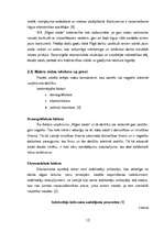 Referāts 'SIA "Rīgas zieds” mārketinga darba analīze', 12.