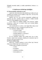 Referāts 'SIA "Rīgas zieds” mārketinga darba analīze', 16.