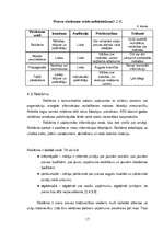 Referāts 'SIA "Rīgas zieds” mārketinga darba analīze', 17.