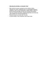 Eseja 'Intervija ar Aleksandra Čaka spalvaskātu', 2.