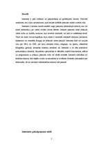 Referāts 'Interneta pakalpojumu veidi', 2.