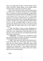 Referāts 'Interneta pakalpojumu veidi', 5.