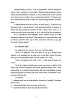 Referāts 'Interneta pakalpojumu veidi', 6.