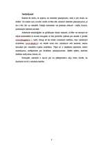 Referāts 'Interneta pakalpojumu veidi', 8.