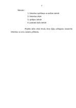 Referāts 'Tekstilmozaīkas tehnikas izmantošanas iespējas apģērba komplekta izgatavošanā', 4.