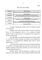 Referāts 'Tekstilmozaīkas tehnikas izmantošanas iespējas apģērba komplekta izgatavošanā', 11.