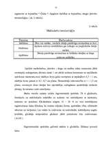 Referāts 'Tekstilmozaīkas tehnikas izmantošanas iespējas apģērba komplekta izgatavošanā', 12.