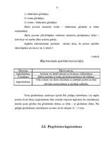 Referāts 'Tekstilmozaīkas tehnikas izmantošanas iespējas apģērba komplekta izgatavošanā', 13.