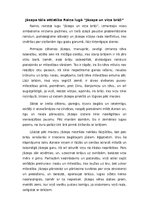 Eseja 'Jāzepa tēla attīstība Raiņa lugā "Jāzeps un viņa brāļi"', 1.