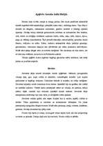 Referāts 'Apģērbs baroka laikmetā', 4.