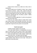 Referāts 'Apģērbs baroka laikmetā', 6.