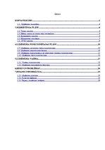 Biznesa plāns 'Biznesa plāns', 1.