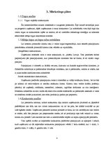 Biznesa plāns 'Biznesa plāns', 6.