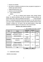 Biznesa plāns 'Biznesa plāns', 8.