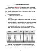 Biznesa plāns 'Biznesa plāns', 10.